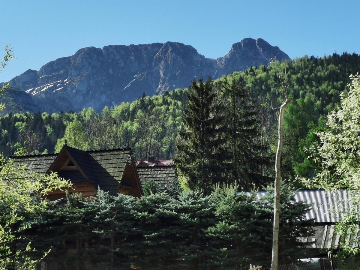 Ubytovanie v rodine Senator Zakopane