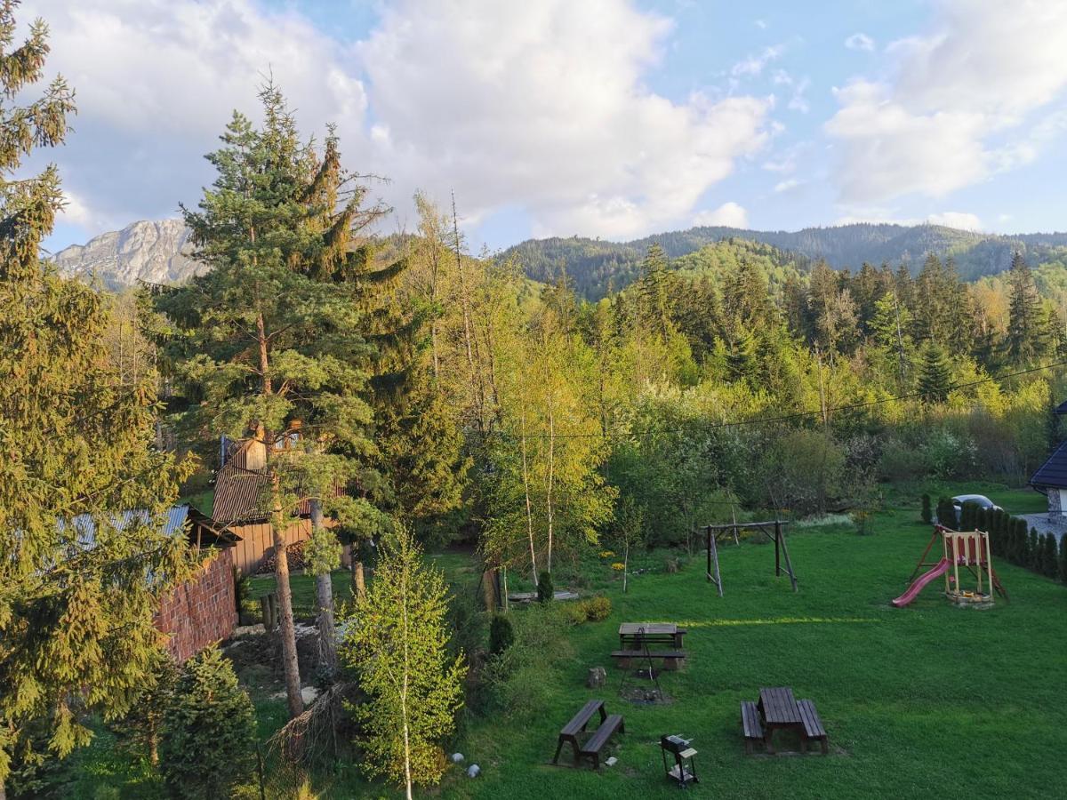 Senator Zakopane